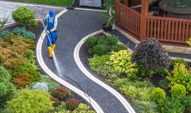 Best Pressure Washing Company Near Me  in Springfield, VA